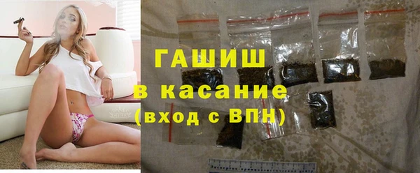 стафф Арсеньев