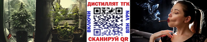 ТГК Wax Нефтегорск